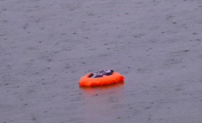 Ein Quastenflosser Plüschtier schwimmt auf einem Rettungsring im Bodensee.